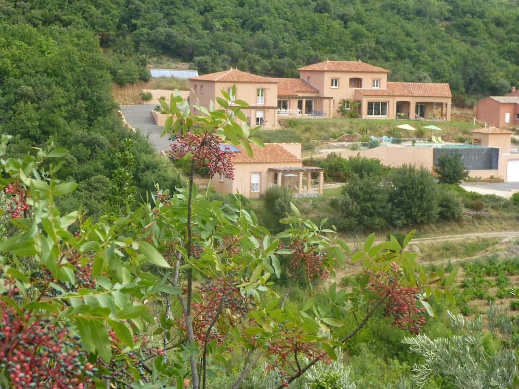 Bed and Breakfast Domaine De Flo Adult A Partir De 16 Ans Saint-Jean-de-la-Blaquiere Exterior foto